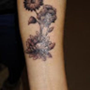 Meet your Posher, Darcy